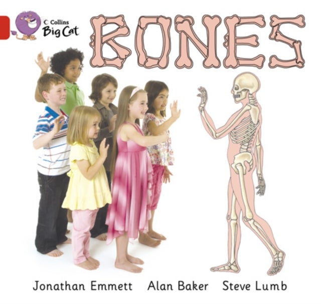 Bones: Phase 8 Bk 10: Band 2B Red printed_book_paperback english - 05/01/2010