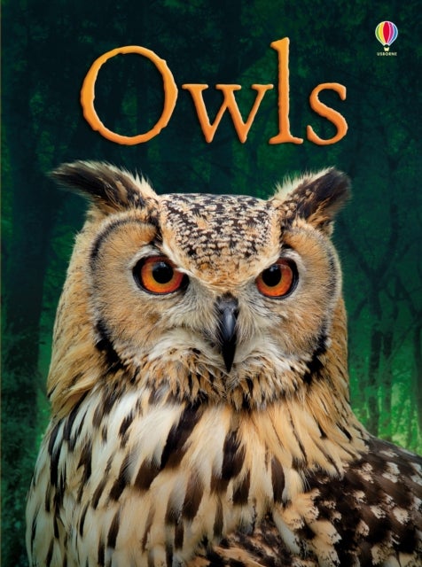 البوم printed_book_hardback english - 01/07/2013