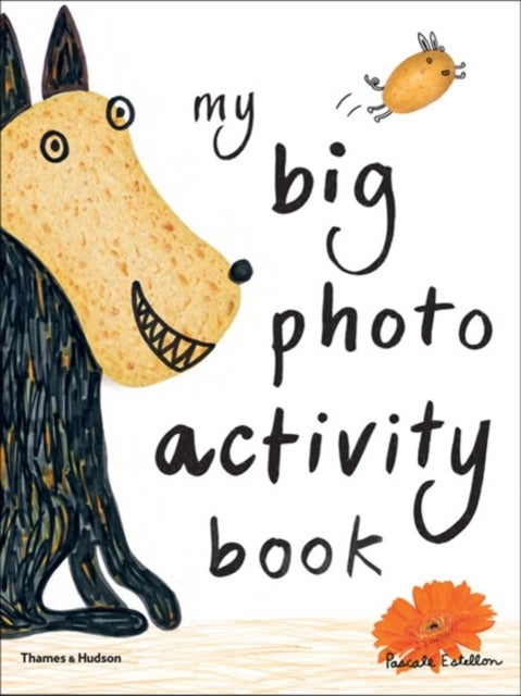 My Big Photo Activity Book - Paperback English by Pascale Estellon - 28/05/2012