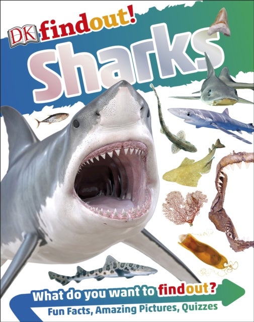 Sharks Paperback English by DK - 42795 