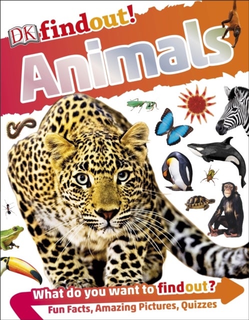 Animals - Paperback English by DK - 01/07/2016 