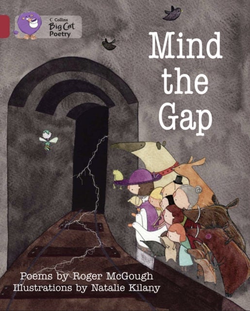 Mind The Gap: Band 12 Copper printed_book_paperback english