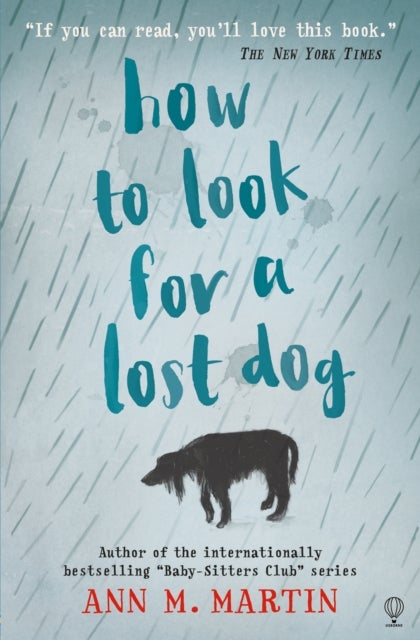 How To Look For A Lost Dog Paperback English by Annm. Martin - 42370