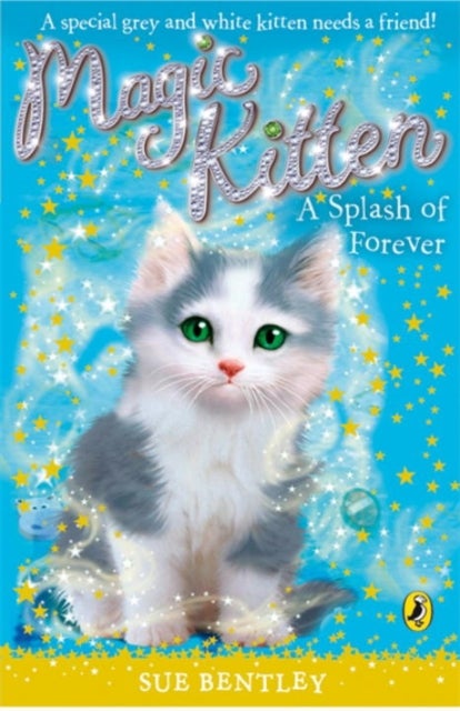 A Splash Of Forever printed_book_paperback english