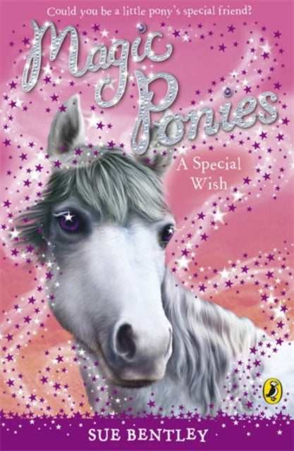 Magic Ponies: A Special Wish printed_book_paperback english 