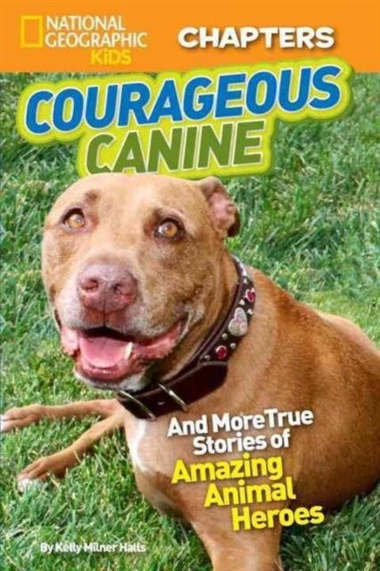 National Geographic Kids Chapters: Courageous Canine: And More True Stories Of Amazing Animal Heroes printed_book_paperback english