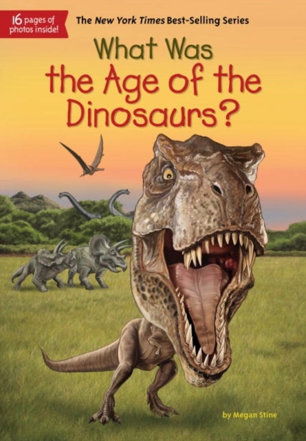 What Was The Age Of The Dinosaurs? - Paperback English by Megan Stine