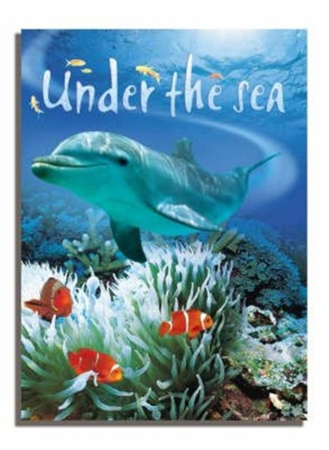 Caterpillars And Butterflies Hardcover English by Stephanie Turnbull 
