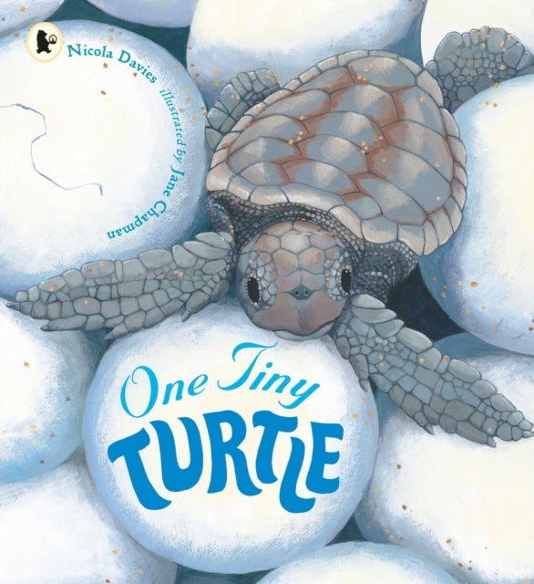 One Tiny Turtle printed_book_paperback english
