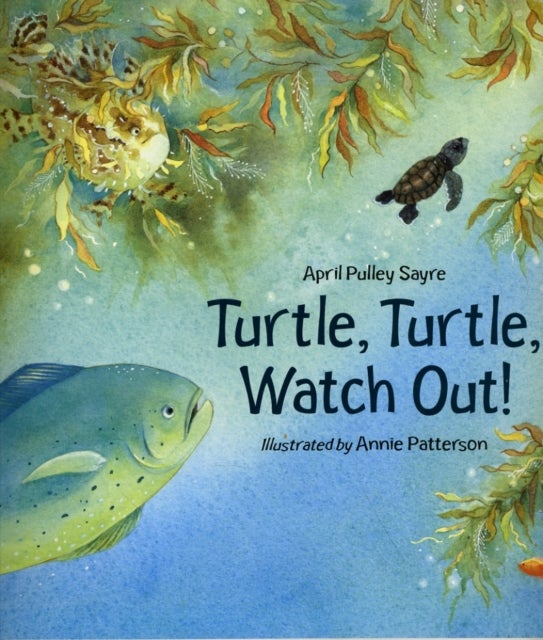 Turtle, Turtle, Watch Out! printed_book_paperback english 