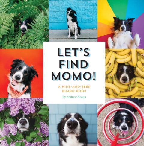 Let's Find Momo!: A Hide-And-Seek Board Book Board Book English by Andrew Knapp - 42843