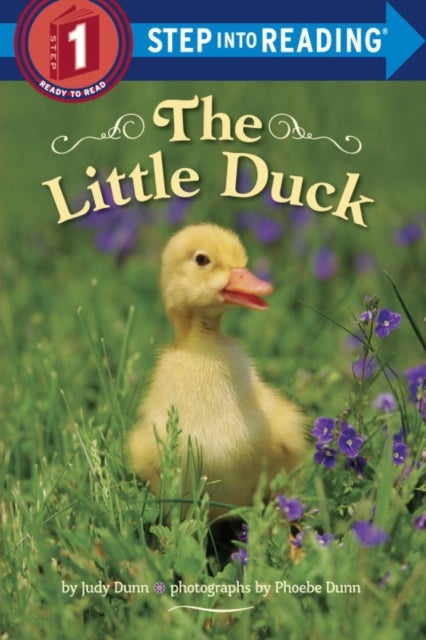 Little Duck Paperback English by Judy Dunn - 42745