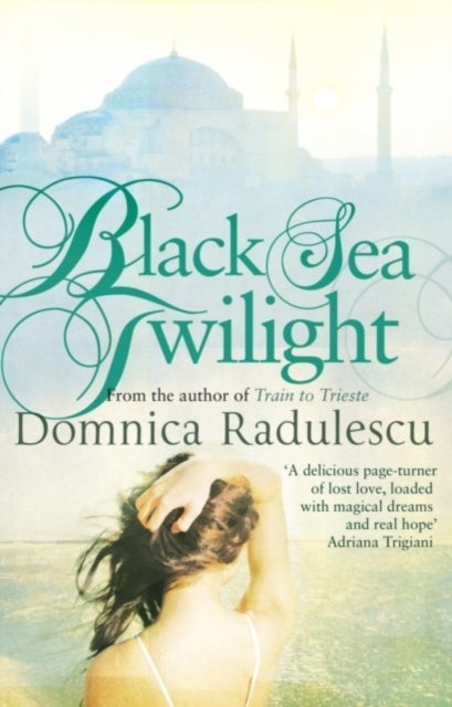 Black Sea Twilight - Paperback English by Domnica Radulescu