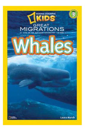 Great Migrations Whales - Paperback English by Laura Marsh