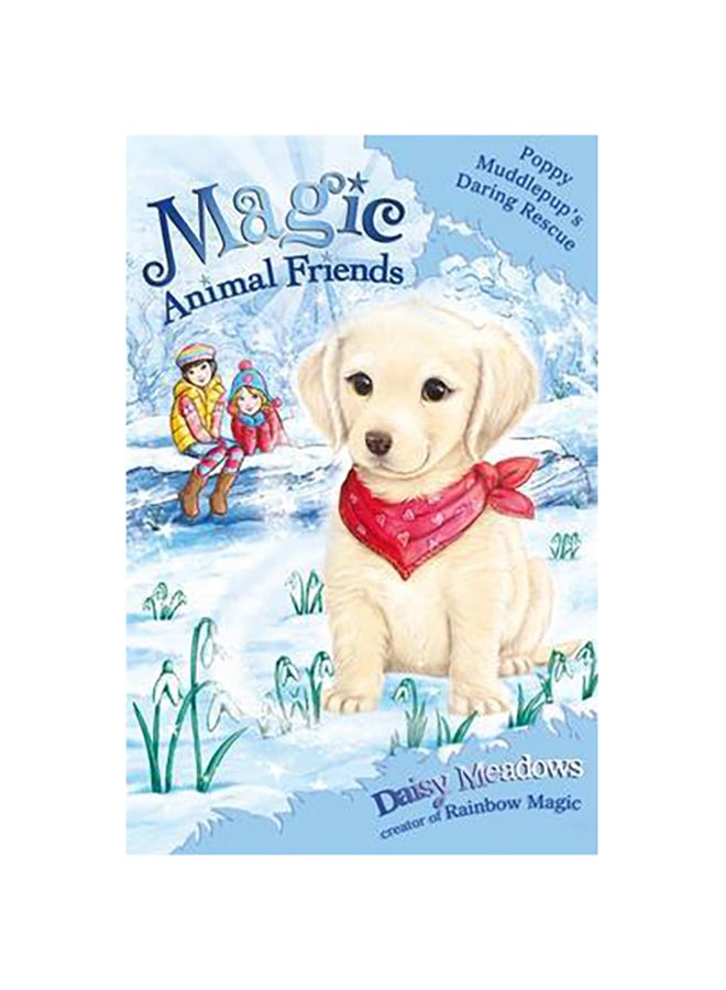 Magic Animal Friends: Special - Paperback English by Daisy Meadows 