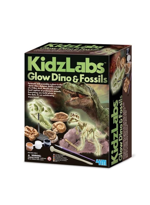 Glow In The Dark Fossils Science Kit