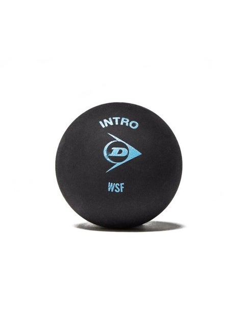 Intero Squash Ball