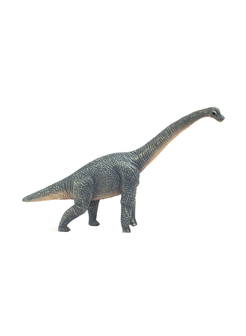 Brachiosaurus 21x13.5x5cm - v1502757832/N11105172A_1