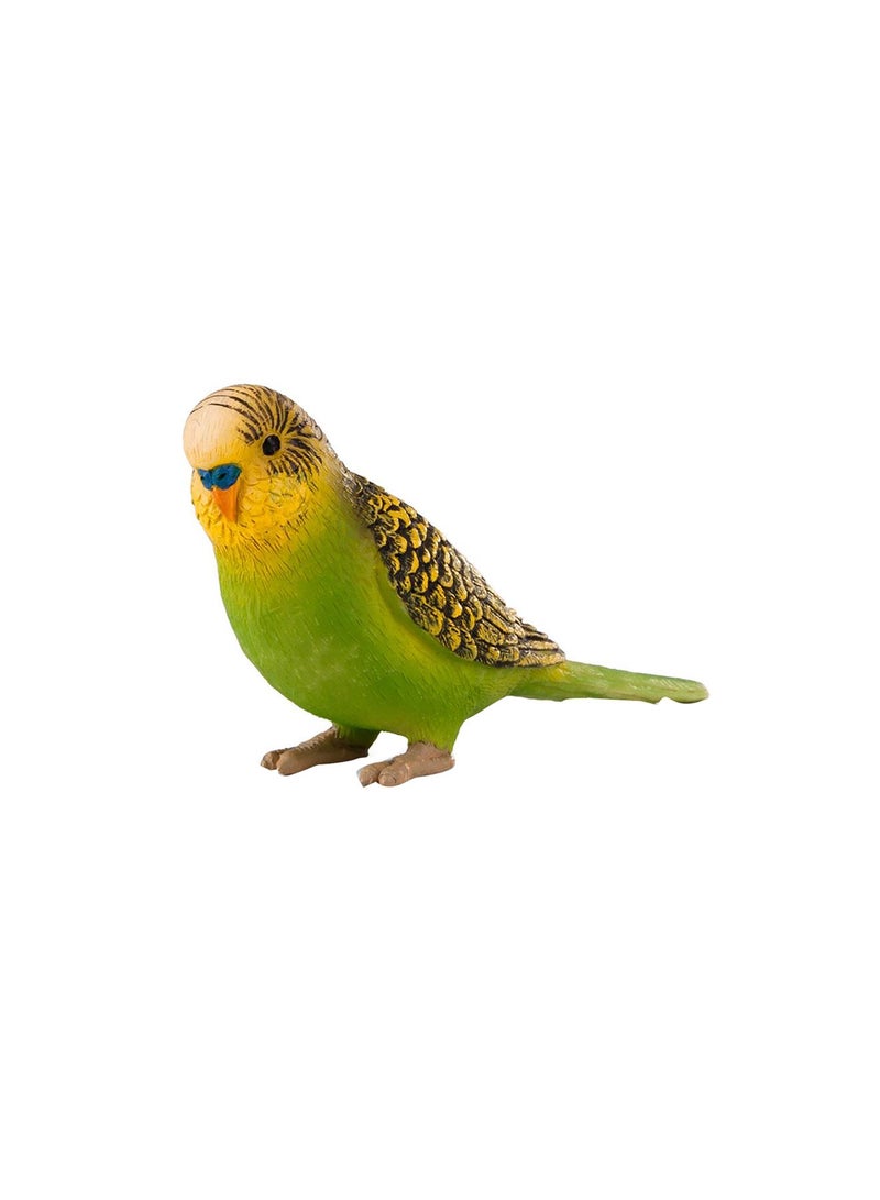 Mojo Animal Planet Green Budgerigar