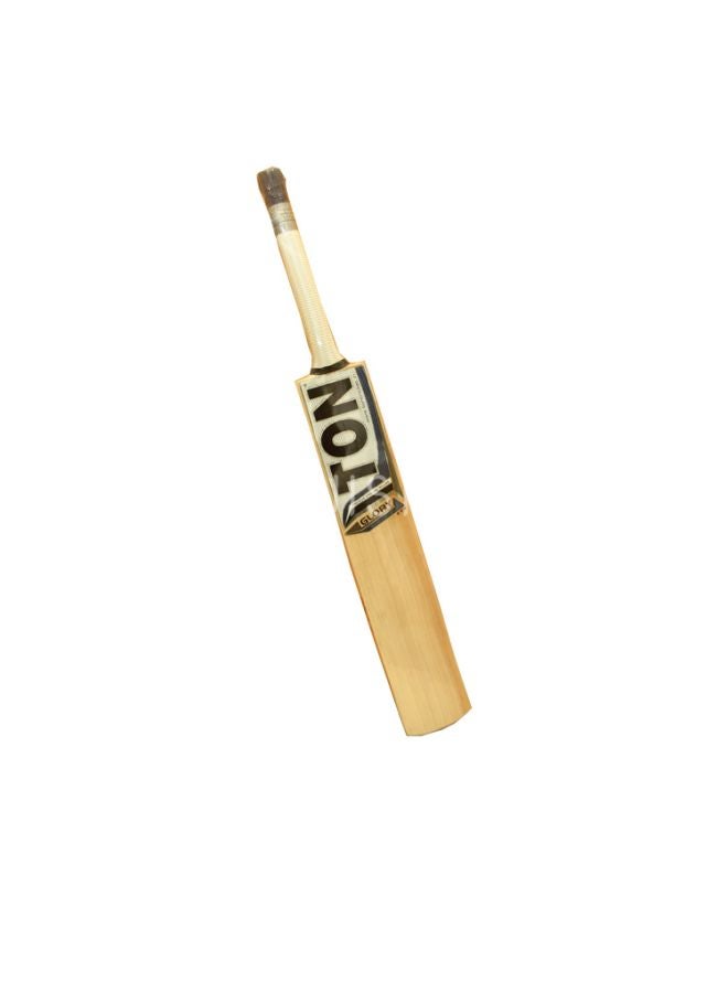 SS Ton Glory Cricket Bat  - Image 1