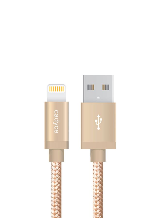 CADMiUM GOLD USB Lightning Sync And Charge Cable Gold