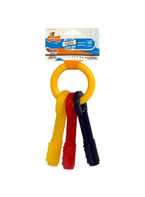 Puppy Teething Keys Medium