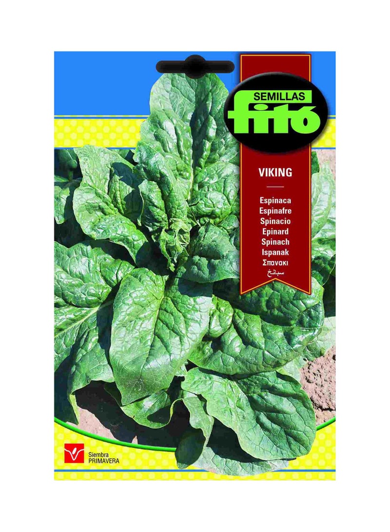 فيتو سبانخ فايكنج متعدد الألوان