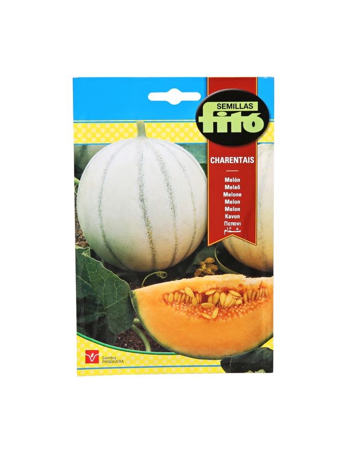 فيتو بطيخ شارينتس متعدد الألوان