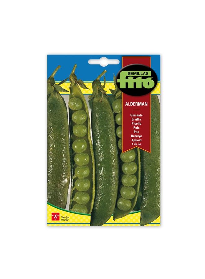 فيتو بازلاء ألديرمان متعدد الألوان