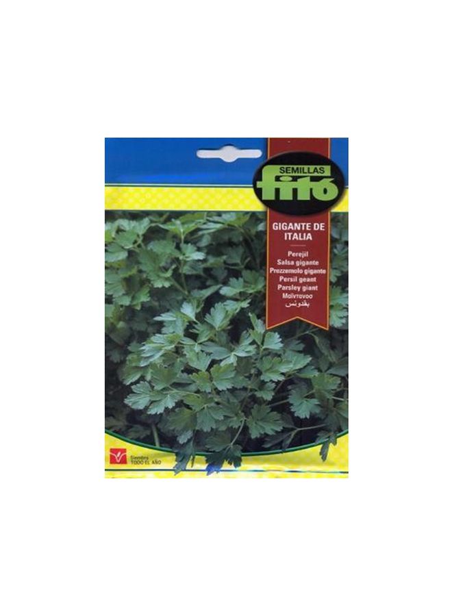 Parsley Gigante De Italia Multicolour - v1502772706/N11630059A_1