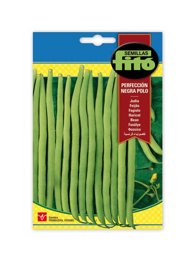 Fito - Bean Perolar Multicolour - Image 1