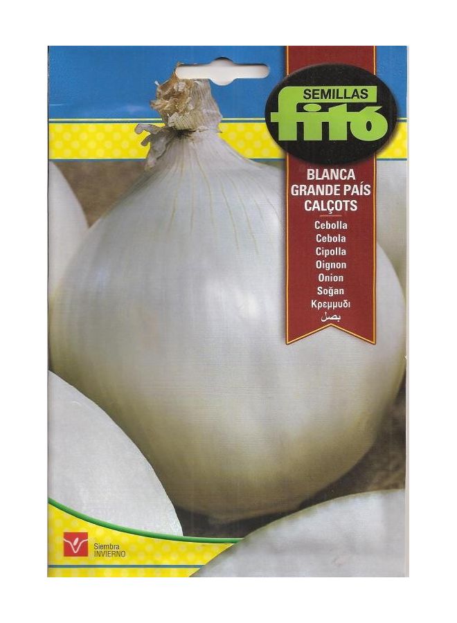 Onion Long White Multicolour