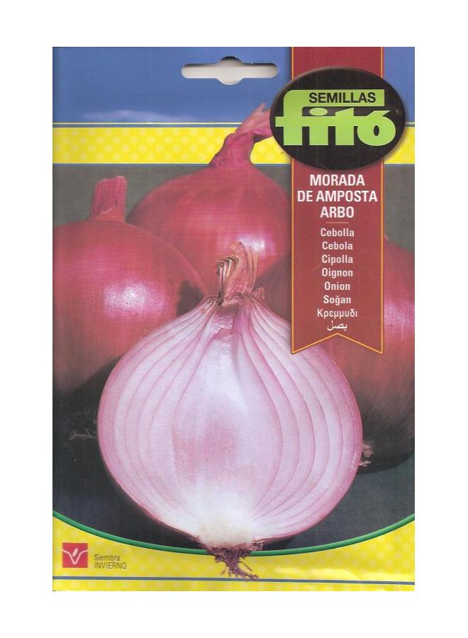 فيتو بصل مورادا دي أمبوستا متعدد الألوان