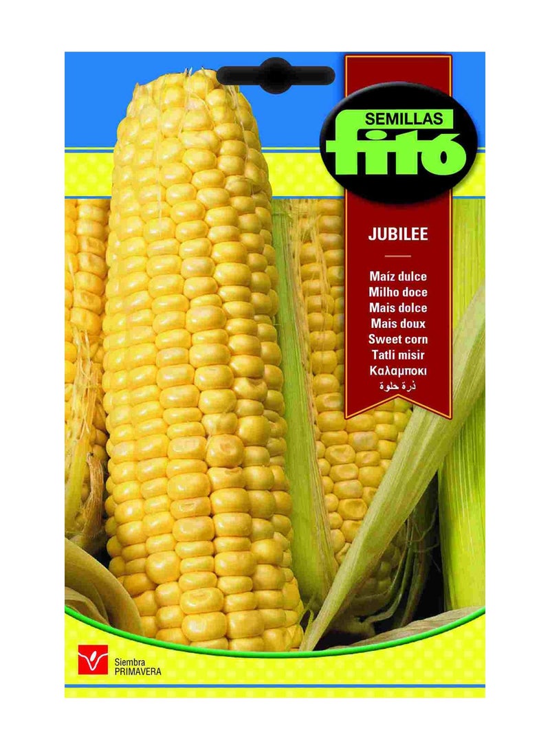 فيتو الذرة الحلوة جوبيلي متعدد الألوان