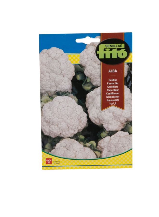 فيتو قرنبيط ألبا متعدد الألوان