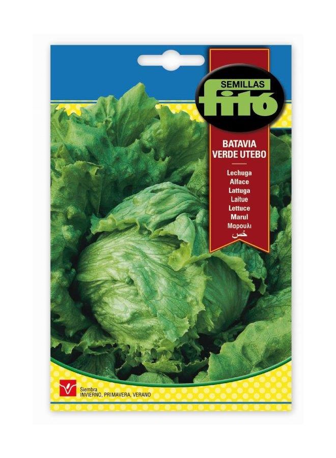 فيتو خس ويبس ويندورفول متعدد الألوان