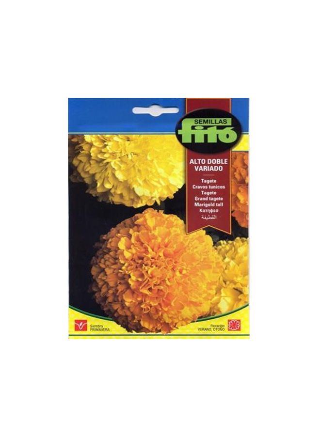 فيتو مزيج من نبات المخملية الطويل المزدوج متعدد الألوان