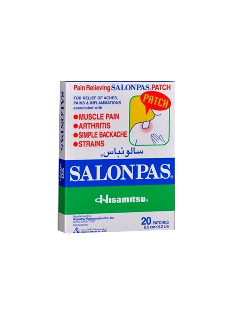 Pain Relieving 20 Patches, 6.5 X 4.2 Cm - v1502798174/N11820770A_1