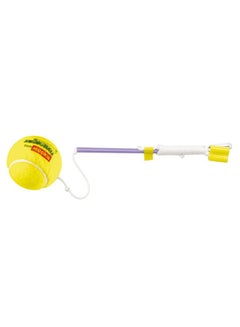 Swingball-Mookie Replacement Ball And Tether 24x 7x 16cm  - Image 1