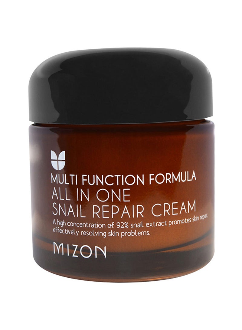 MIZON All In One Snail Repair Cream 75ml - Image 1
