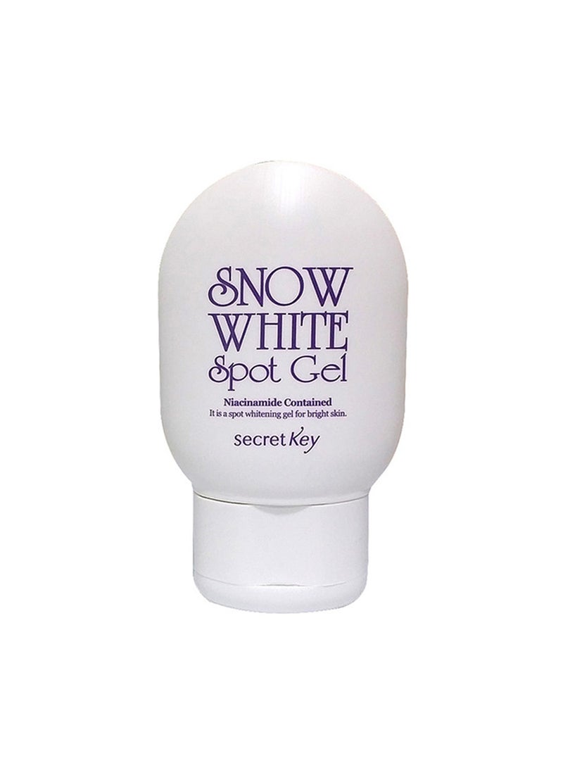 Secret Key - Snow White Spot Gel 65grams - Image 1