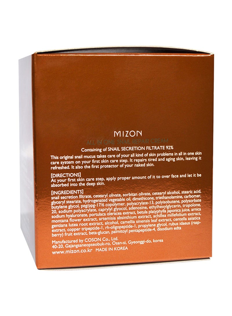 MIZON All In One Snail Repair Cream 75ml - Image 3