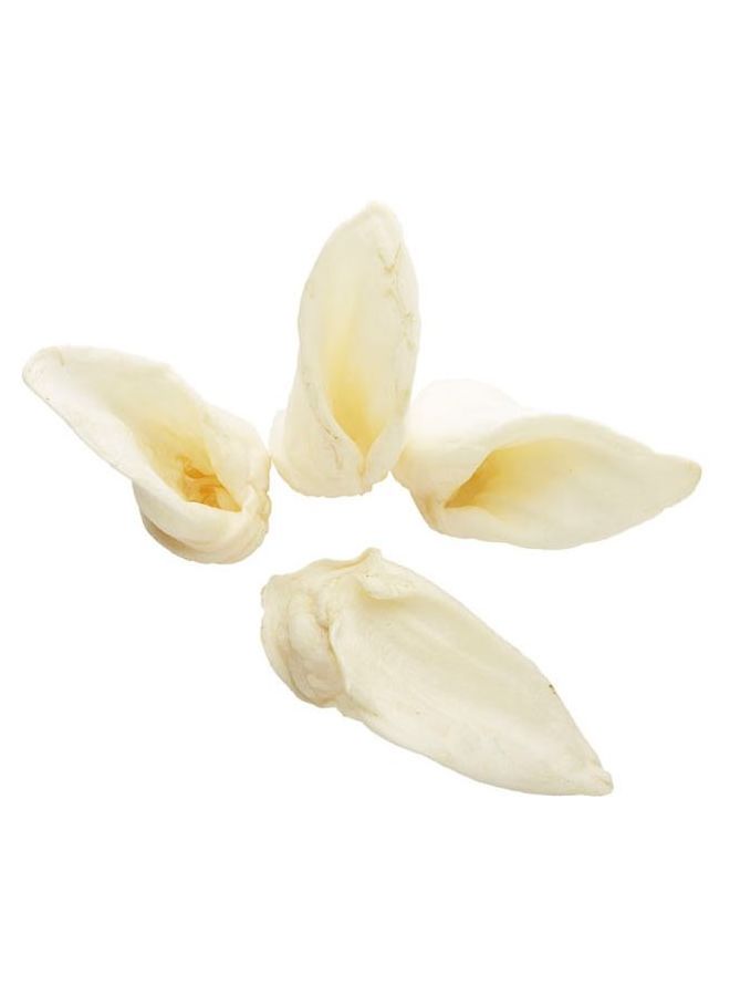 5-Count Lamb Ears - v1504097821/N11629466A_1