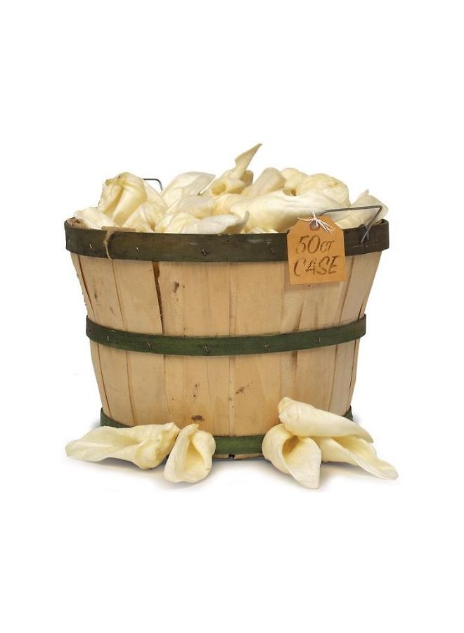 ريدبارن 5 آذان من حمل الضأن - Image 2