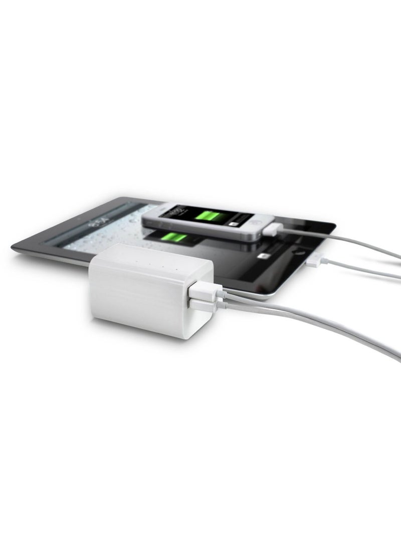 إيتون بوست بلوك 6600 حزمة بطارية إضافية 6600.0 mAh أبيض  - Image 2