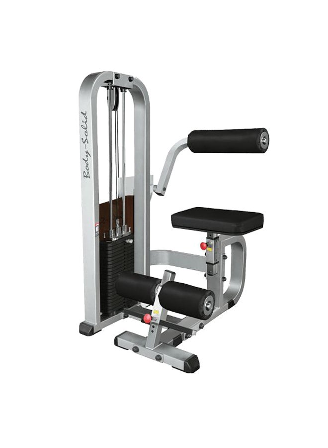 Body Solid Back Machine 