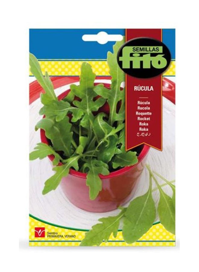 Fito Rucula Multicolour 