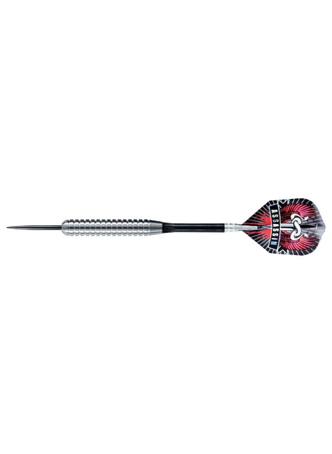 Assassin Tungsten Regular Dart