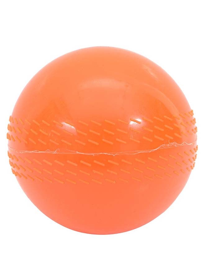 Cricket Wind Ball 9inch - v1507040190/N12305043A_1