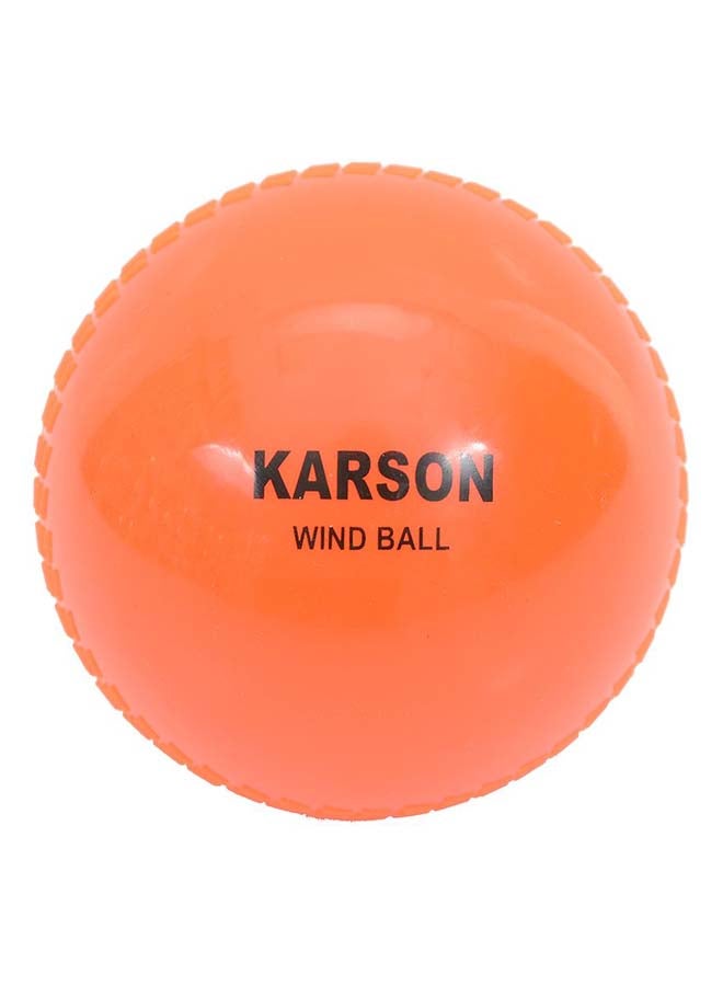 Cricket Wind Ball 9inch - v1507040307/N12305043A_2